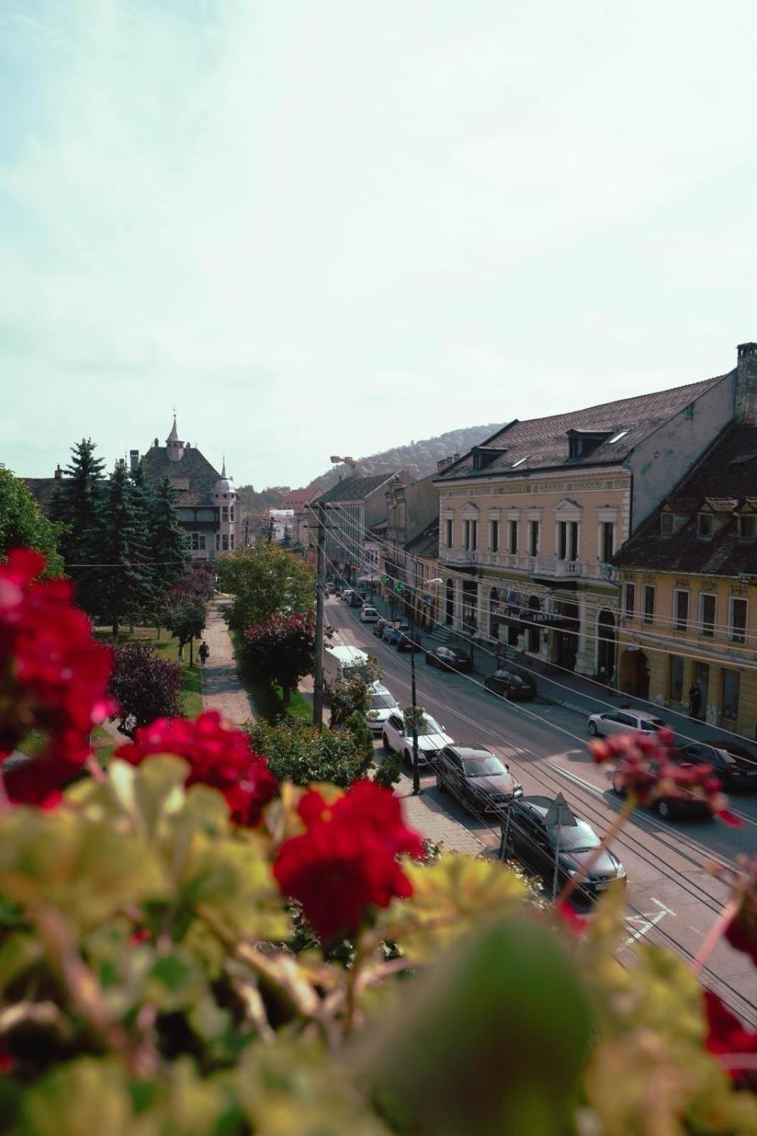 Pensiunea Gasthaus Alte Post 시기쇼아라 외부 사진